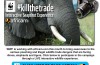 Kill the Trade that Kills the Elephant