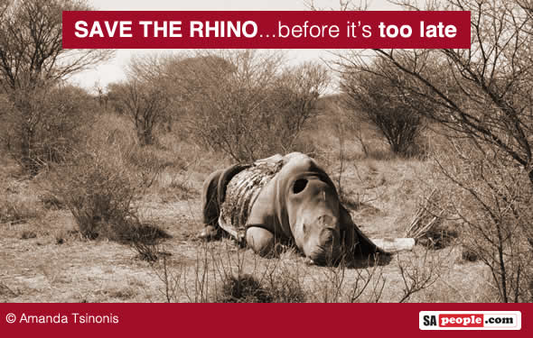 Save the rhino in South Africa