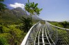 Spectacular views from the Kirstenbosch Walkway which is under construction