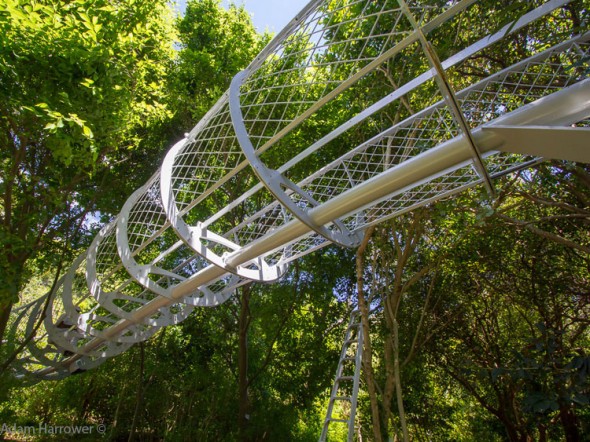 Kirstenbosch's Treetop Canopy Walkway