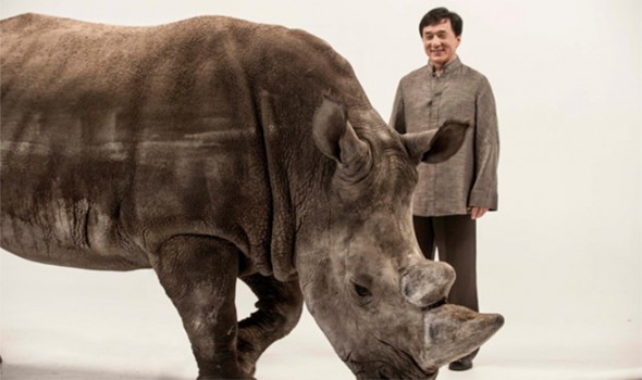Jackie Chan and Spike the Rhino