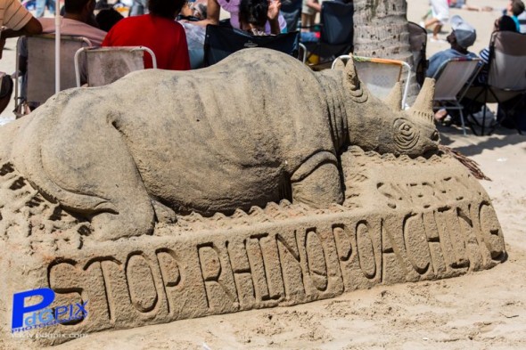Durban Beach Sand Art - stop rhino poaching