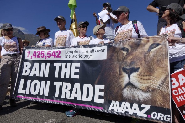 Avaaz - Ban the Lion Trade