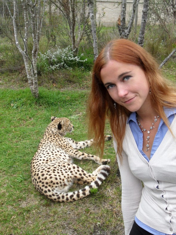 Meeting a cheetah in Plettenberg Bay