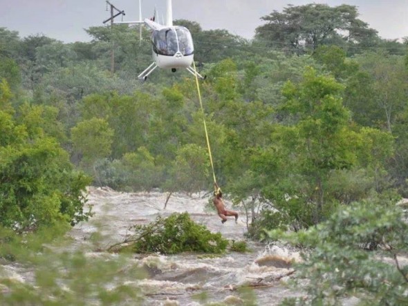 Helicopter rescue at Vaalwater