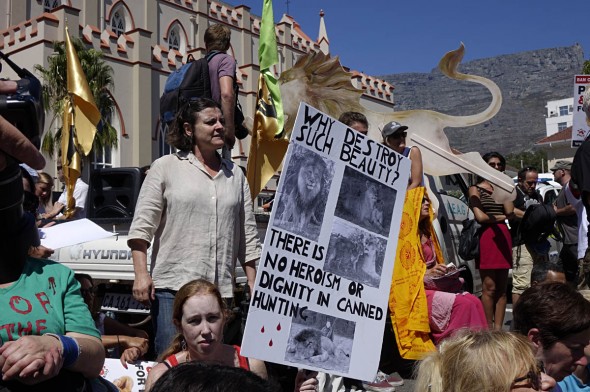 Global March for Lions in Cape Town