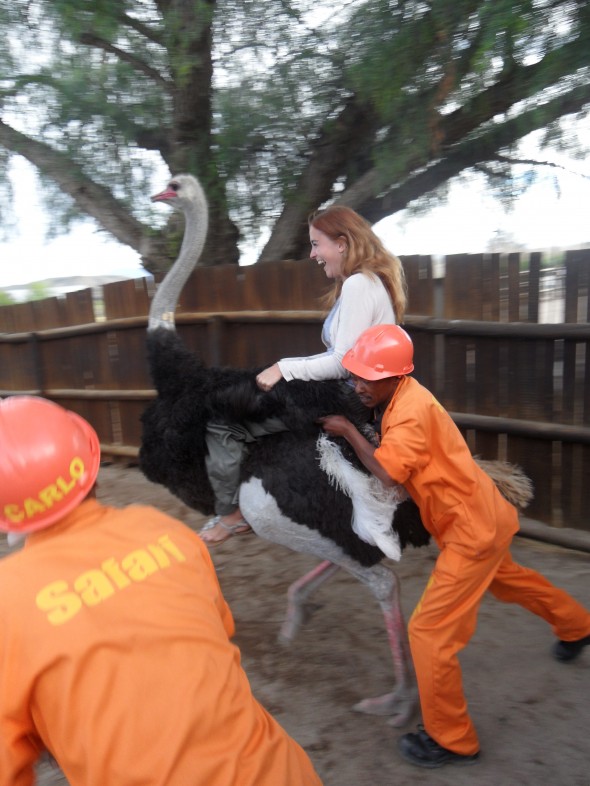 Riding an ostrich in Oudtshoorn