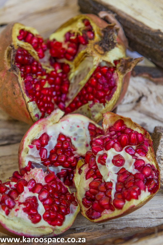 Pomegranates grow like crazy in the semi-desert Karoo.