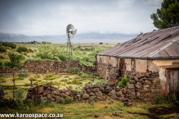 The Karoo – all green after excellent summer rains.
