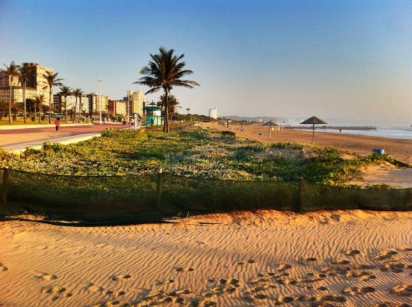 Durban beachfront 2014