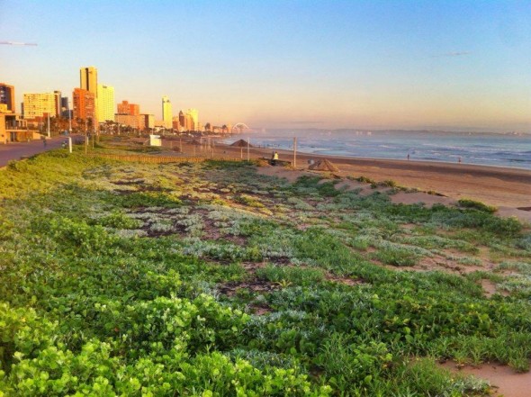 Durban beachfront 2014