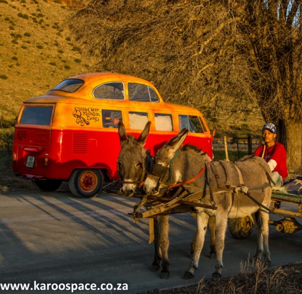 Creek meets Karoo in the form of a Nieu-Bethesda donkey taxi.
