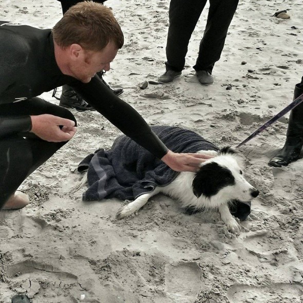 South African Kite-surfers rescue dog in Cape Town
