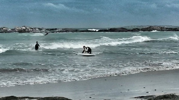 Kite-surfers rescue dog in Cape Town, South Africa