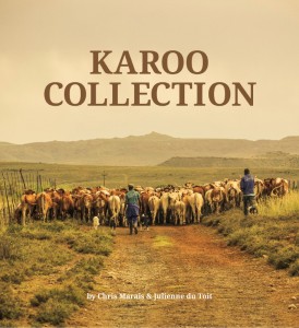 Karoo books