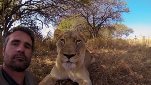 Lion Whisperer selfie