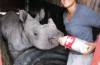 Kim Putman with baby rhino in South Africa
