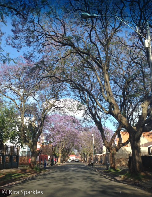 Drive through Yeoville this morning, avoiding traffic on the main roads.... Beautiful❤️❤️ From: Kira Sparkles