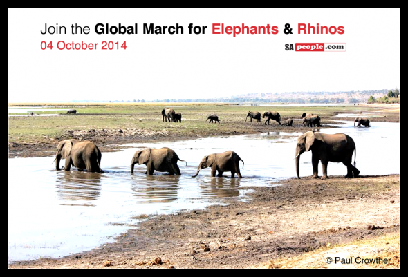 March for Elephants and Rhino