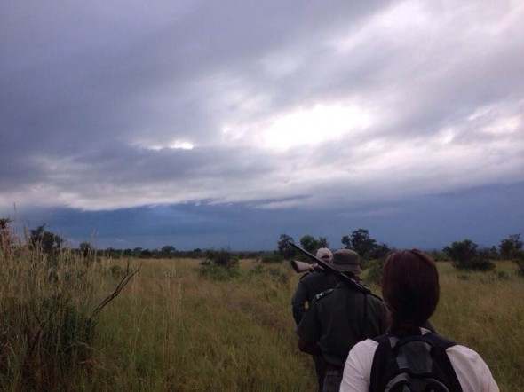 Africa’s no walk in the park: Hiking in Kruger in February 2014