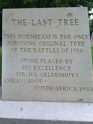 south-african-grave-2