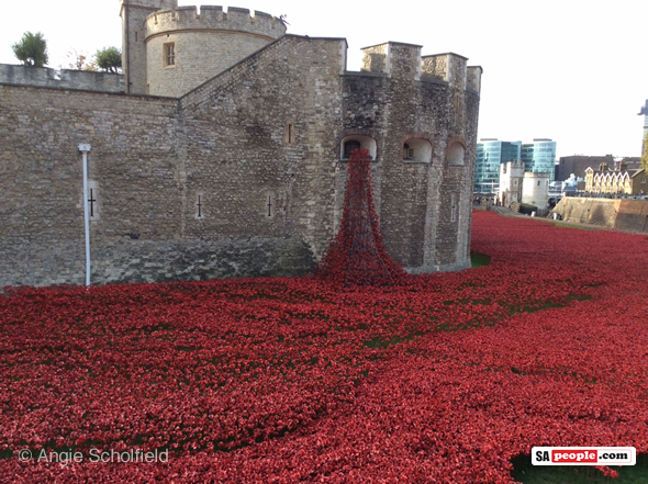 tower-of-london-poppies-2