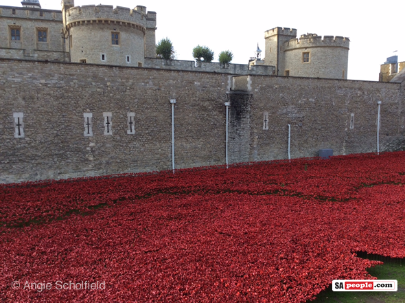 tower-of-london-poppies
