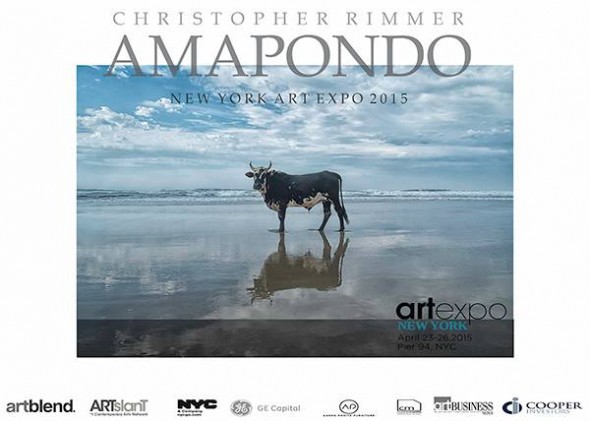 Amapondo Exhibition, New York