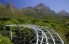 Kirstenbosch South Africa