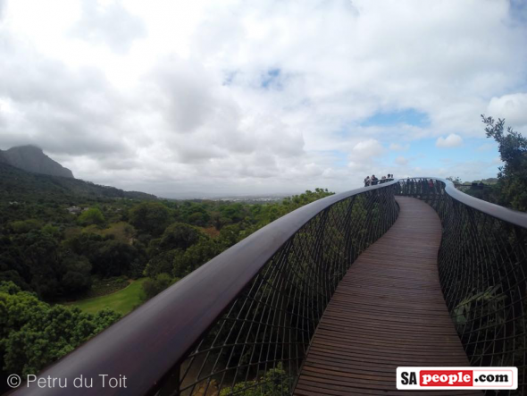 Kirstenbosch Gardens, Cape Town, South Africa - Boomslang