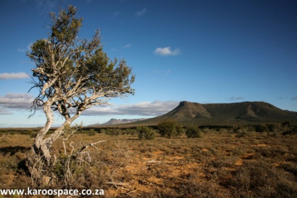 Fracking Karoo South Africa