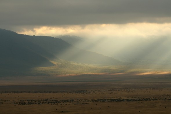 Safari in East Africa