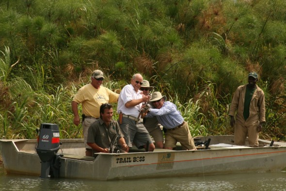 Safari friendships