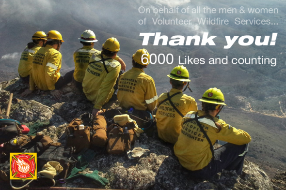 thank-you-vws