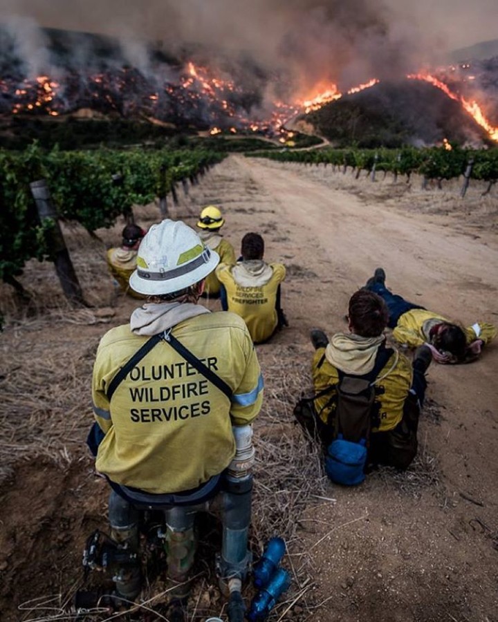 The #SimonsbergFire blazed through the Stellenbosch Winelands. Photo by : @sullivan_photography See story and photos here: http://bit.ly/1Pqj2Mv #fire #fighters #winelands #forest #red #news #recent #far #smoke #wildfire #service #savetheday #dirt #roads #nature ___________________________________________________ To share you photos here, please use #sapeople