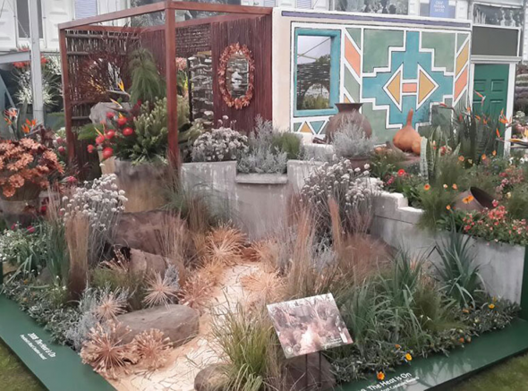 Part of SANBI Kirstenbosch RHS Chelsea Flower Show 2015 exhibit. © Kay Montgomery