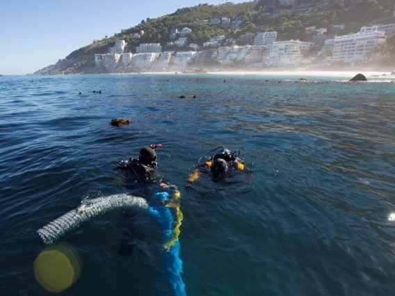 Underwater archaeology researchers explore the site of the São José slave ship wreck near the Cape of Good Hope in South Africa. Susanna Pershern/Courtesy of U.S. National Parks Service