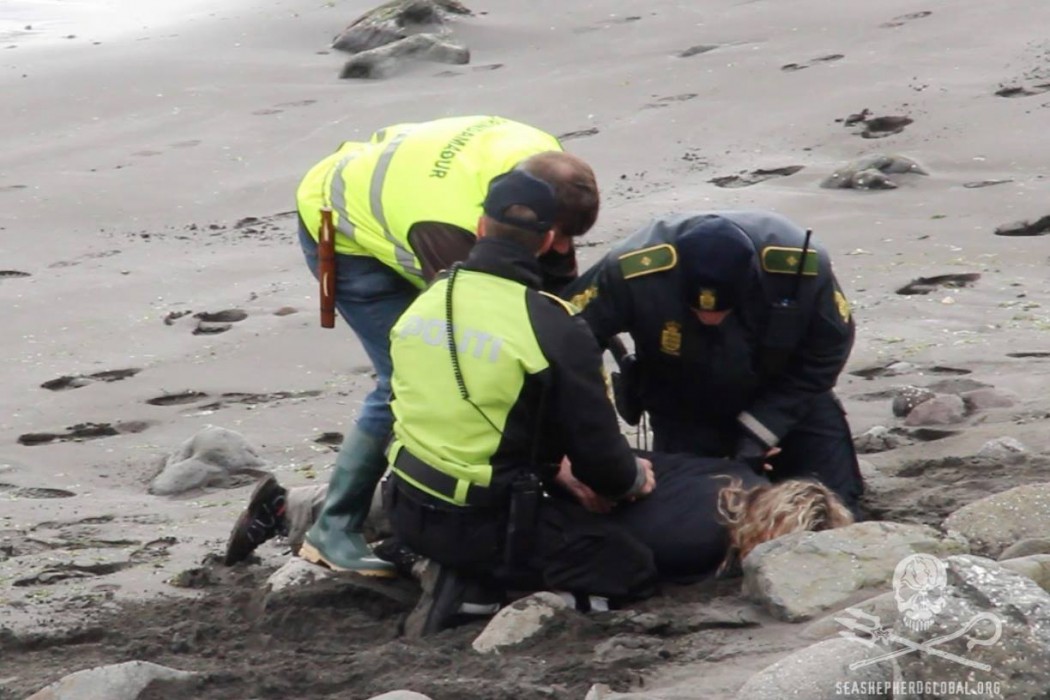 South African Rosie Kunneke arrested trying to save whales in the Faroe Islands