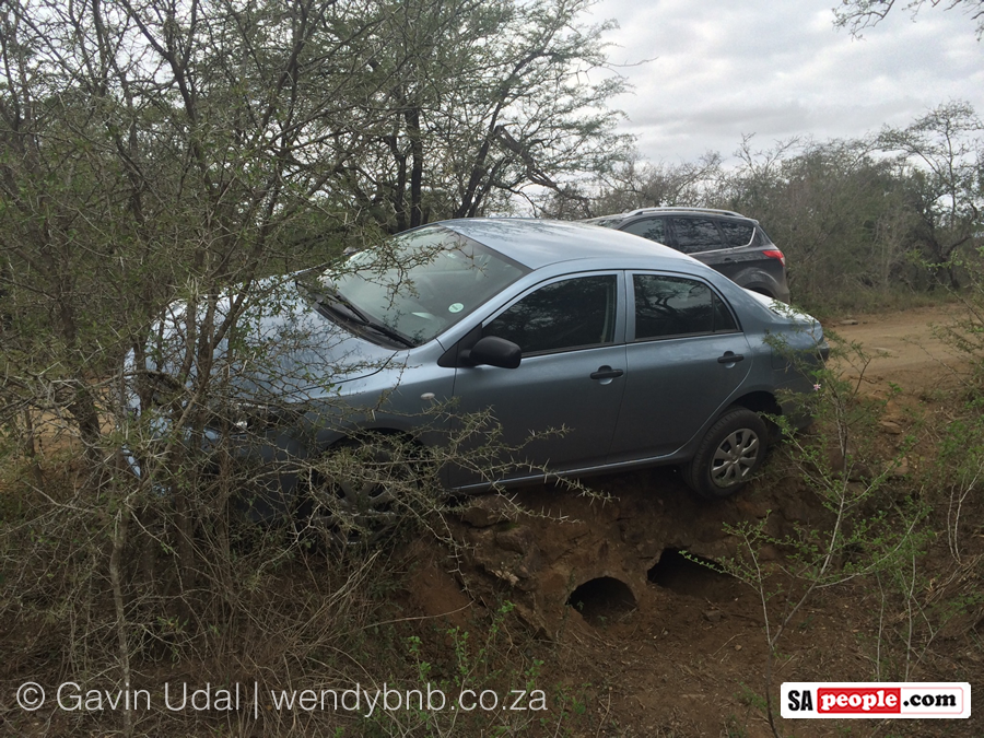 Car attacked by KZN elephant