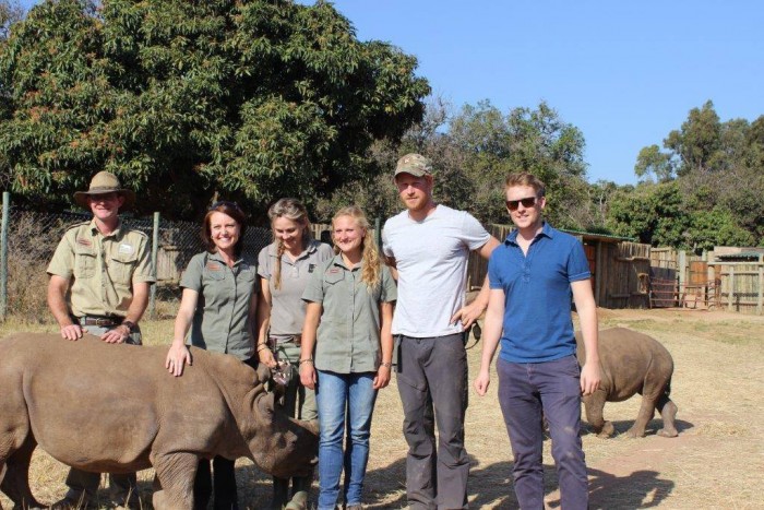 Prince Harry with rhino in South Africa. 