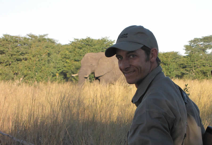walking safari lion attack