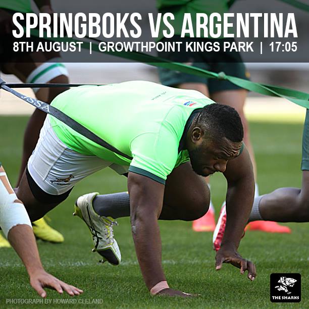 springboks-vs-argentina