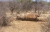 Rhino Poaching South Africa