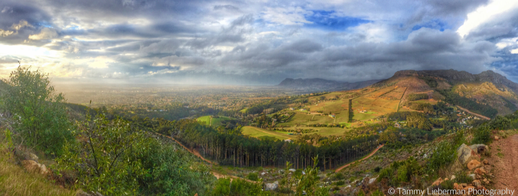 The view from Constantia Nek