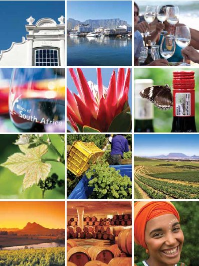 Wines of South Africa