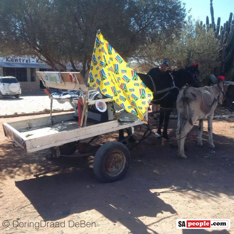 Donkey kart, Springbok fans