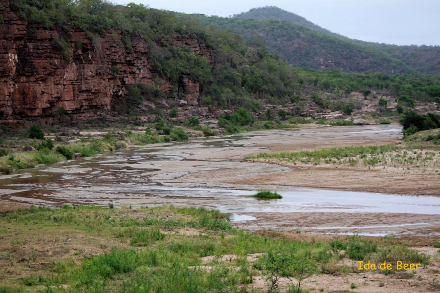 Rain in iMfolozi