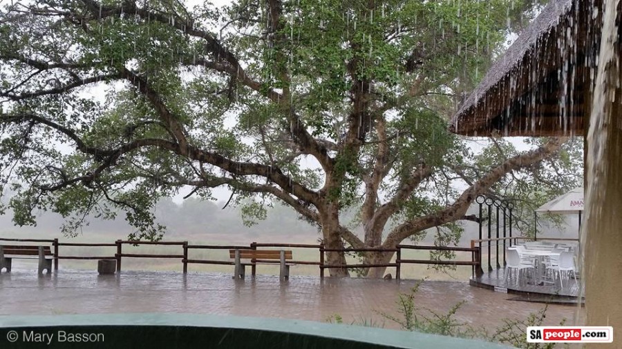 Rain in the Kruger