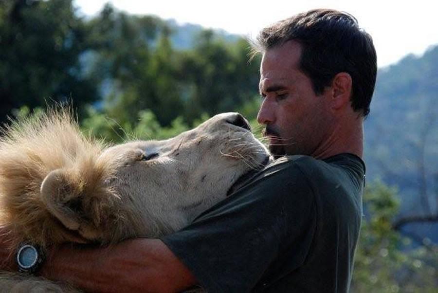 kevinrichardson-lion