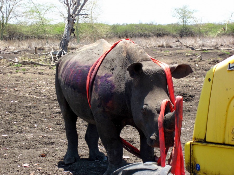 Drought South Africa